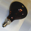Hard Glass Lamps