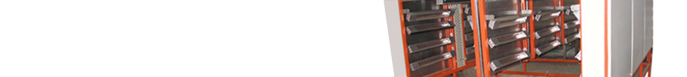 Alok Internationa Alt Tag